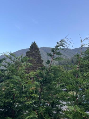 Rustic Guesthouse in Sovarda (BC)