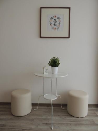  Kosovic Family House in Medulin