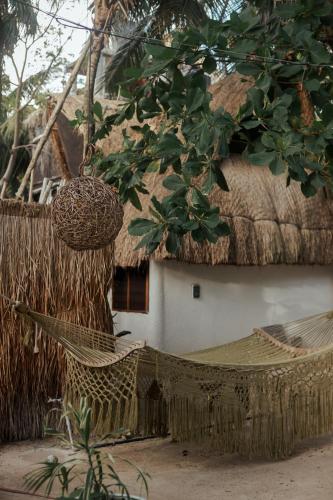 Casa Violeta, Tulum (foto 3)