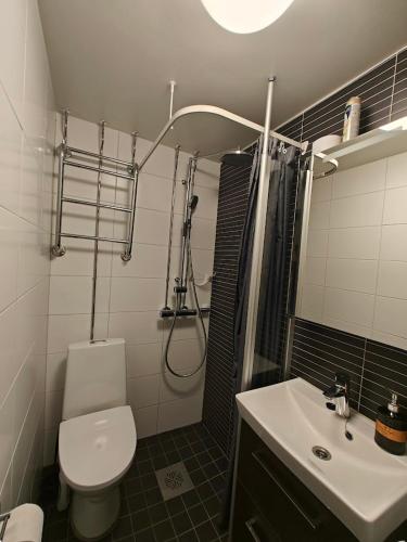 1 bedroom apartment In Kallio, Helsinki (photo 2)