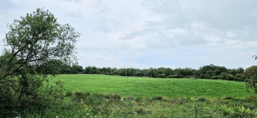 tuin, 2 Bed cottage-Sleeps 4-Private Garden-Parking in Irvinestown