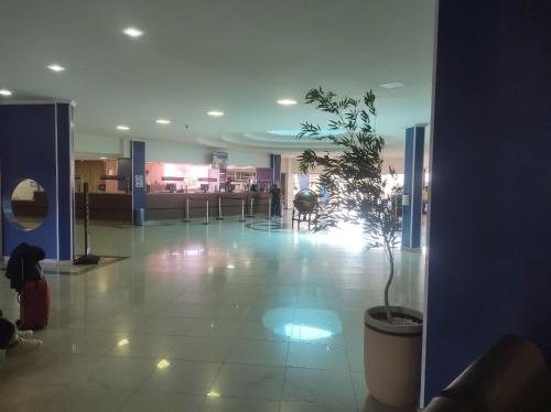 Suites Golden Dolphin Roberto Imoveis in Vila Franca