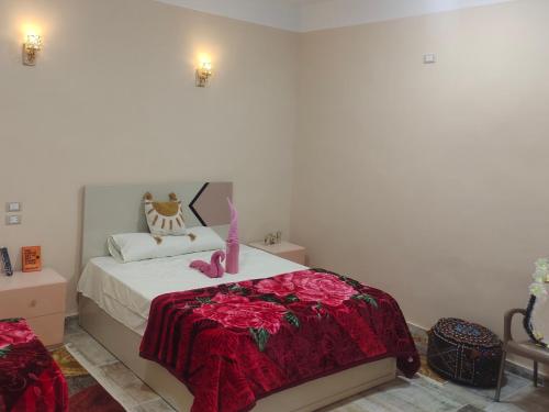 Nour El wadi in Siwa