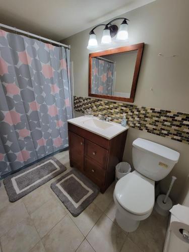 Comfortable 1br In Elkins Park Parking, Pool in Elkins Park, USA