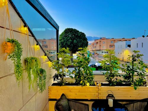 Apartamentos fantasía Marítima Corralejo 3