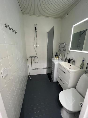 Star's Palace in Hyvinkaa