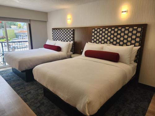 Double Room with Two Double Beds