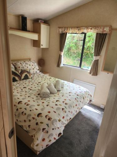 18 Vale Park in Fishguard