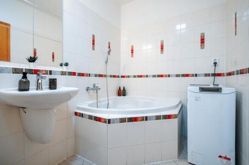 ADM Comfort Apartment - FREE Parking Garage, Bratislava (fotografie 3)
