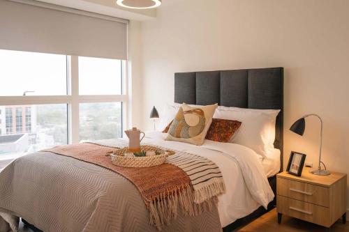Large Luxurious Studio, Dublin18, Dublin (fotografie 4)