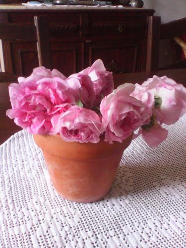 Horta de Torrejais - image 6