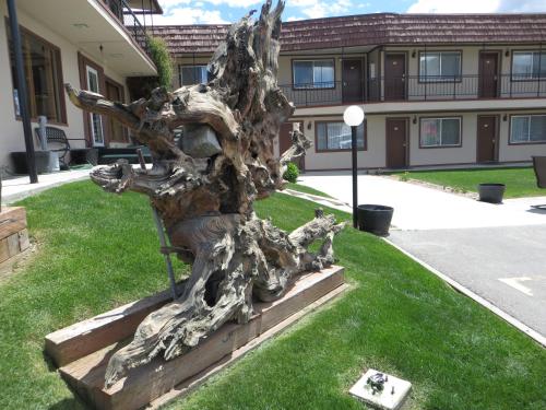 Bristlecone Motel - image 14