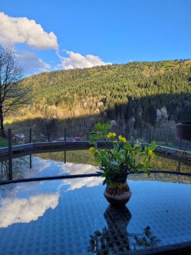 Vaade, RALPH Cabin- Apuseni Mountains, Transylvania in Bucium
