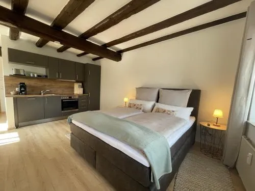 Ferienwohnung an der Mainpromenade in Miltenberg, Deutschland