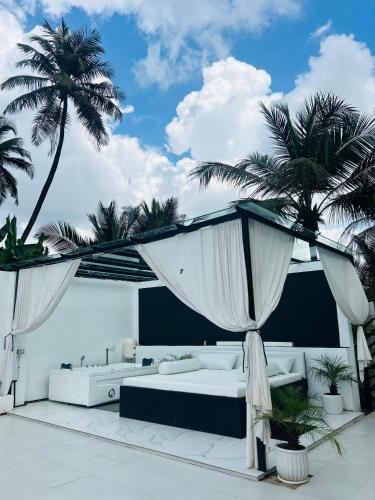 White Tiger Goa in Curtorim