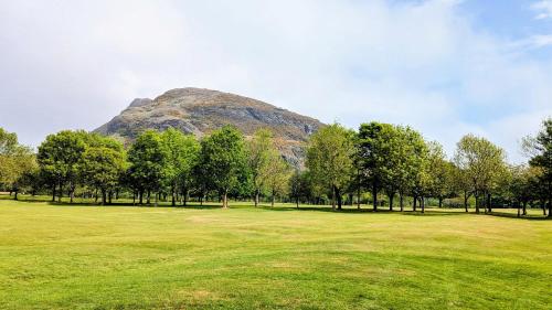 RainforestLodge Edinburgh, Edinburgh (fotografie 9)