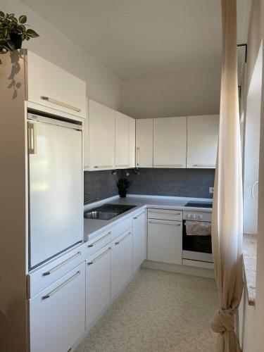 Zentrale Wohnung mit Georgenblick in Krems Templomfalu