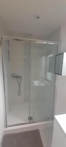 Shower, 4 Guests - Pet Friendly - 13 min to the Beach in Wallisdown and Winton West