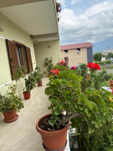 Spacious Triple Room with Balcony in Kamëz