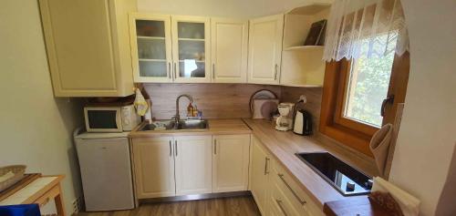 Facilities, Holiday home Cserszegtomaj - Balaton 38183 in Cserszegtomaj