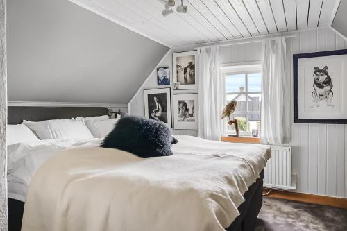 Beachfront escape with eclectic dog-lover charm in 斯米格咸恩