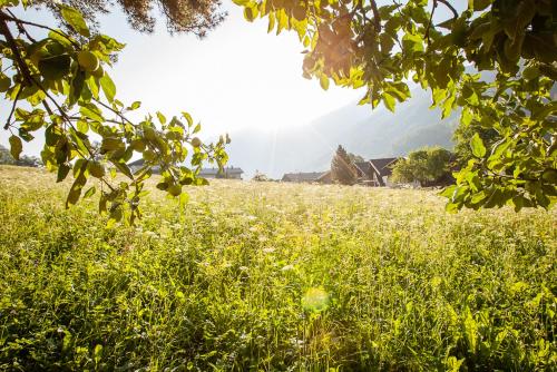 Pension Alpina Neustift