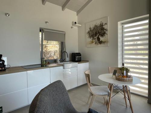 Villa Petra – Katouna, GA