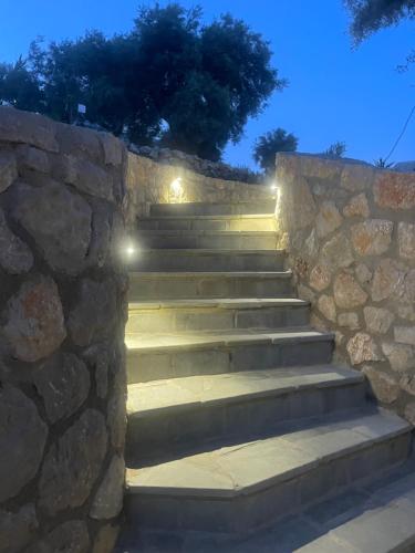 Villa Petra – Katouna, GA