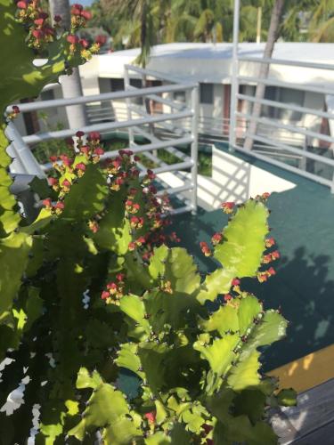 艾尔派提奥汽车旅馆 艾尔派提奥汽车旅馆