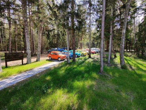 Saare Park Guesthouse in Võhma