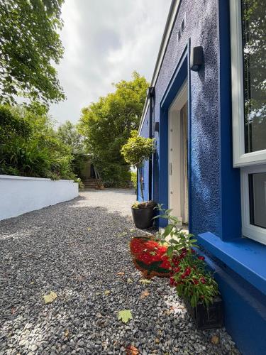 Granville House Apartments and Garden Suites in Dingle