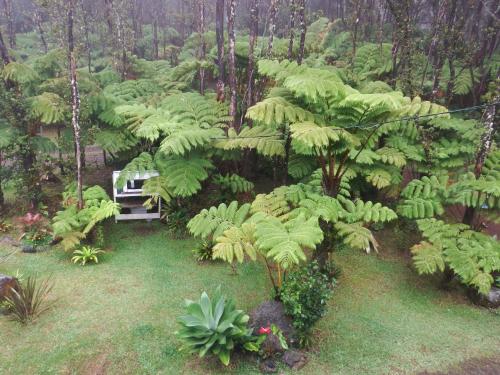 Aloha Crater Lodge Over view