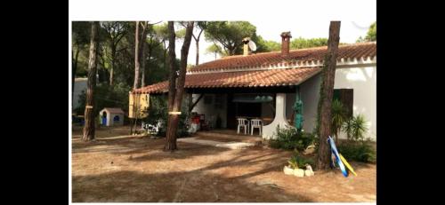 Villa Alba gîte à louer Riva dei Pini