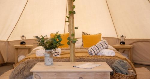 Broadleaves Luxury Glamping in Foremark