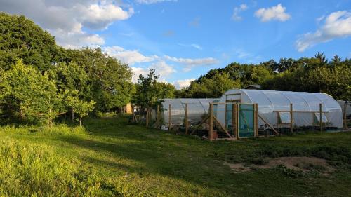 Barefoot Retreats in Hever