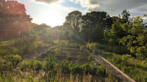 Barefoot Retreats in Hever