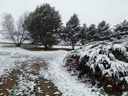 Snowy mountains resort and function centre - Photo 1 in Adaminaby, Australia