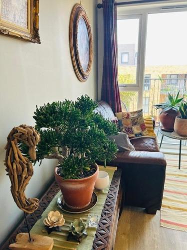 Cosy flat in New Malden, London, Kingston upon Thames (fotografie 3)