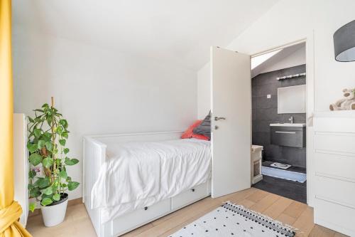 Beautiful loft with terrace - Midi station - Flix, Brussels (photo 6)