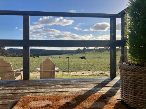 Little Shed Retreat in Williams