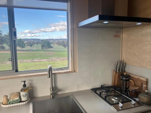 Little Shed Retreat in Williams