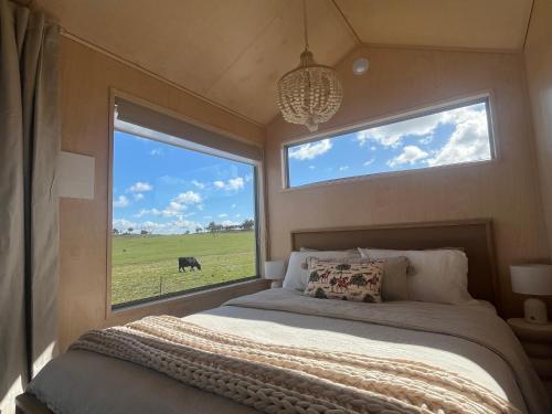 Little Shed Retreat in Williams