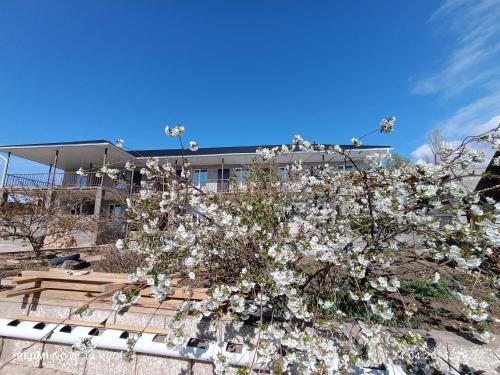 kadzhisaihouse in Kaji-Say