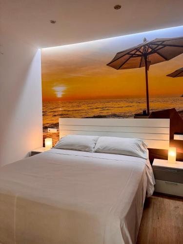Color Suites Alicante - Alicante