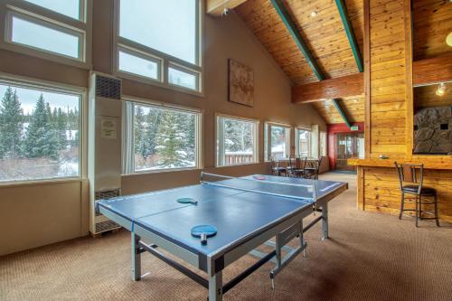Buffalo Ridge 305E, Silverthorne (fotografie 3)