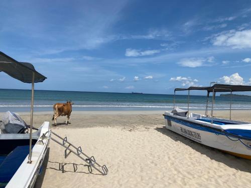 Beach, The White House in Trincomalee