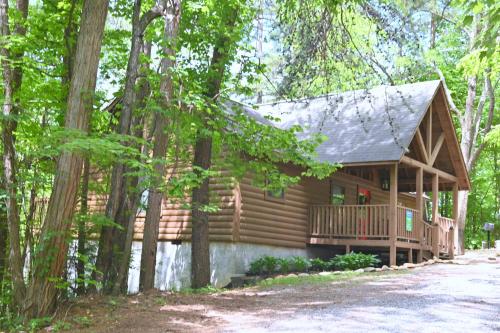 Bear Haven #297 in Sevierville, USA