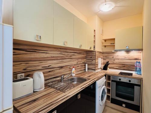 Two-Bedroom Apartment image 4