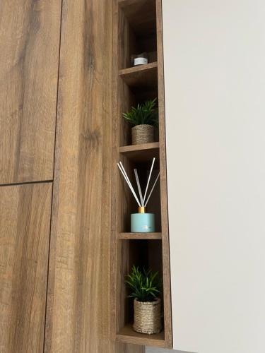 Apartmani Aleksic - image 3