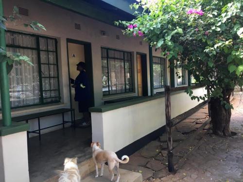 Palapye Hotel - Miniatura 2